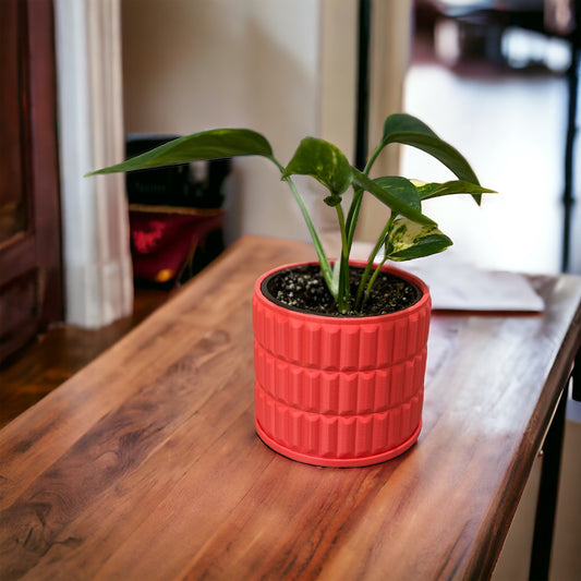 Elysian Planter in Watermelon Red