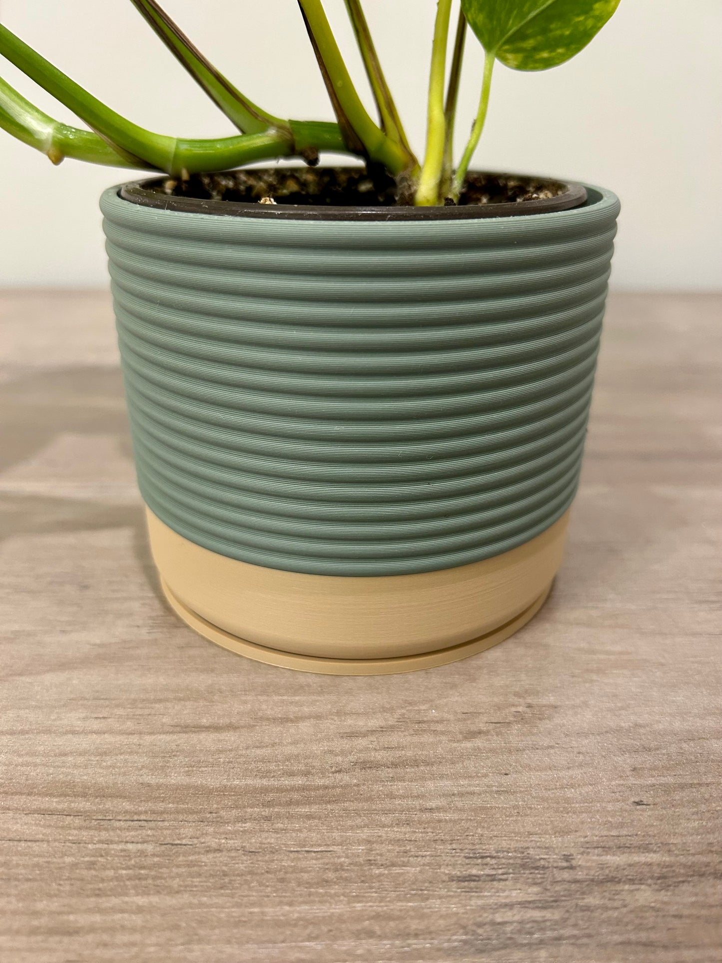 Arcadia Planter in Muted Green
